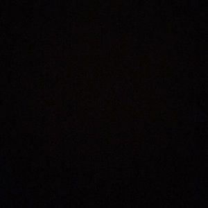 Meet your Posher, Maddie